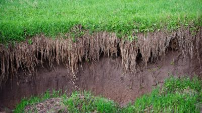 Improve Sustainable Land Use with Erosion Control!