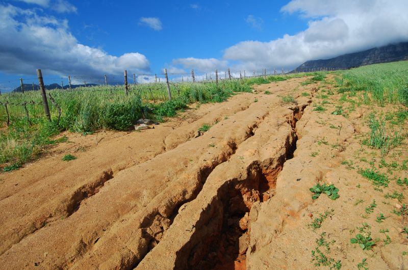 Erosion Control