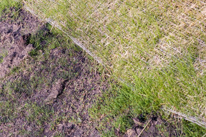 Cost of Erosion Control — Cost of Erosion Control