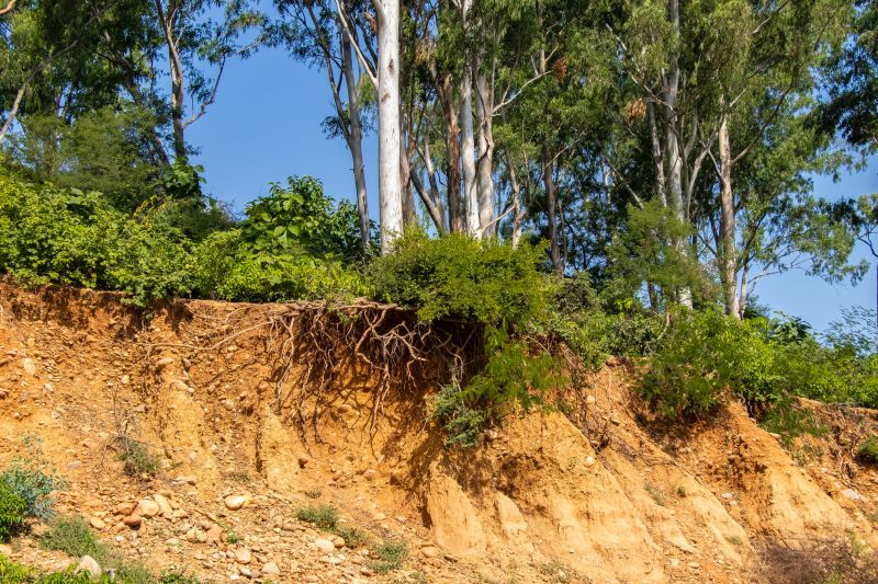 Soil Stabilization in Drought