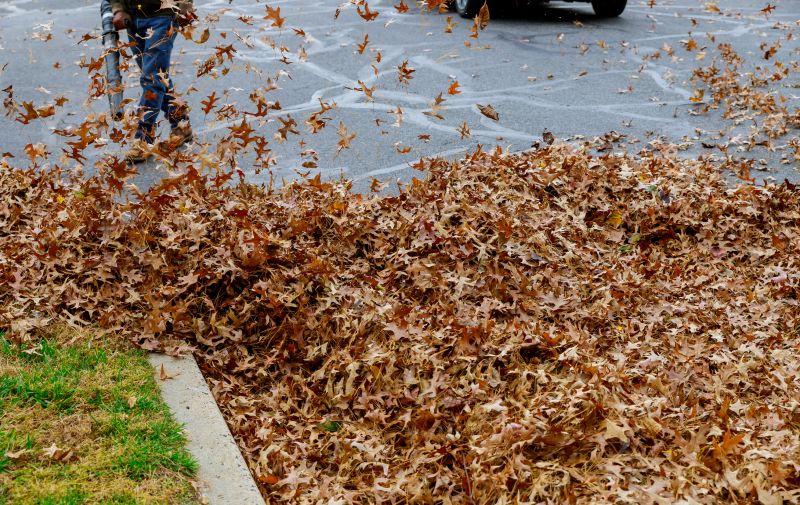 Efficient Leaf Blowing