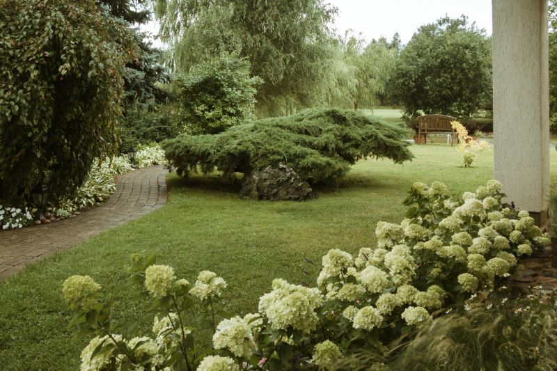 Mature Tree Landscaping